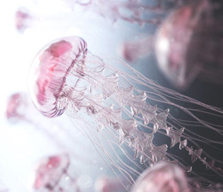 學(xué)習(xí)CAD！每天五個小技巧！這個系列趕快收藏！