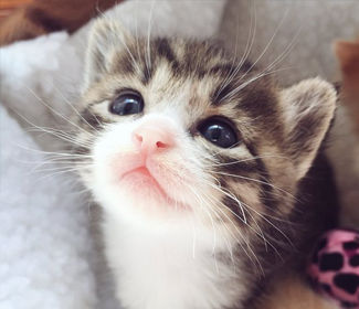 低空無(wú)人機(jī)測(cè)繪：高效、精確、廣泛應(yīng)用的新興技術(shù)